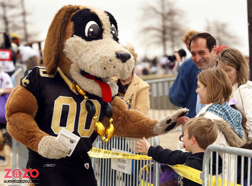 Gumbo rah-rah: How a St. Bernard dog became the New Orleans Saints mascot | Saints | nola.com