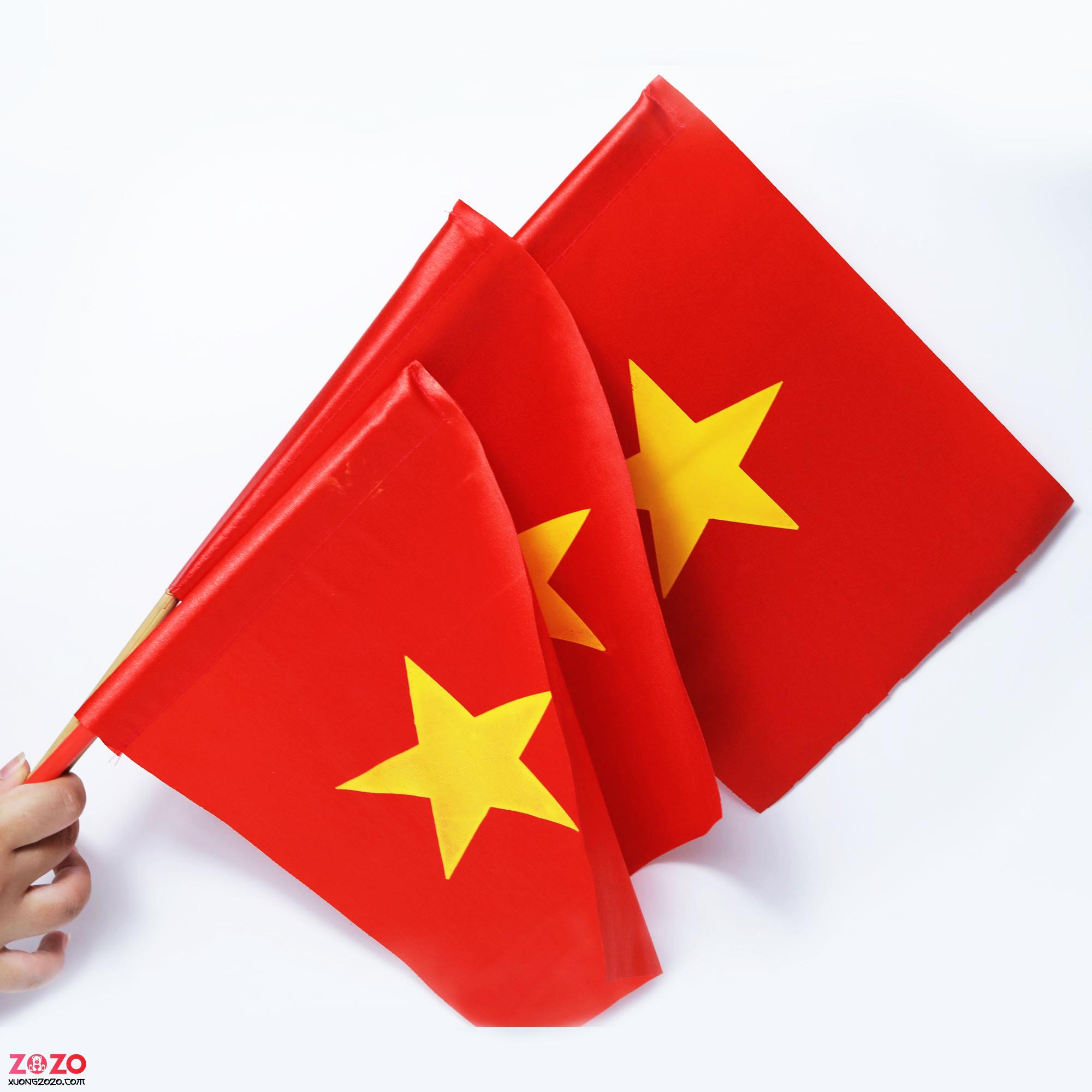 gia si co vay sao vang cam tay ngay khai giang 5tDO