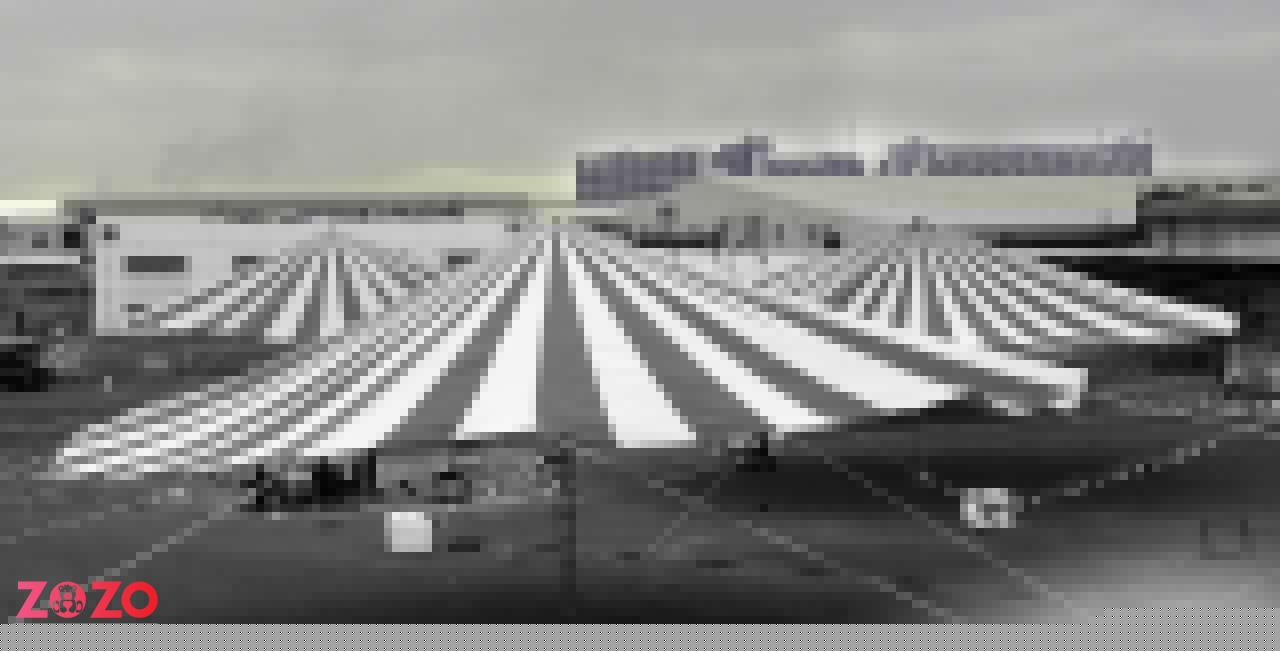 dat may du che su kien gia goc tan xuong 6C1G