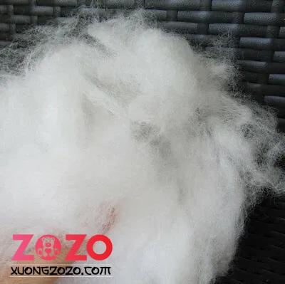 Quy Trình Sản Xuất Gấu Bông Số Lượng Lớn Tại Xưởng Chuyên Nghiệp