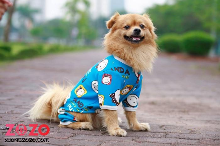 Xưởng may quần áo thú cưng theo yêu cầu 1 xuong may quan ao thu cung theo yeu cau R7NM