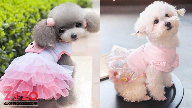 Xưởng sản xuất, in may đồ thú cưng theo yêu cầu 2 xuong san xuat in may do thu cung theo yeu cau 26mN