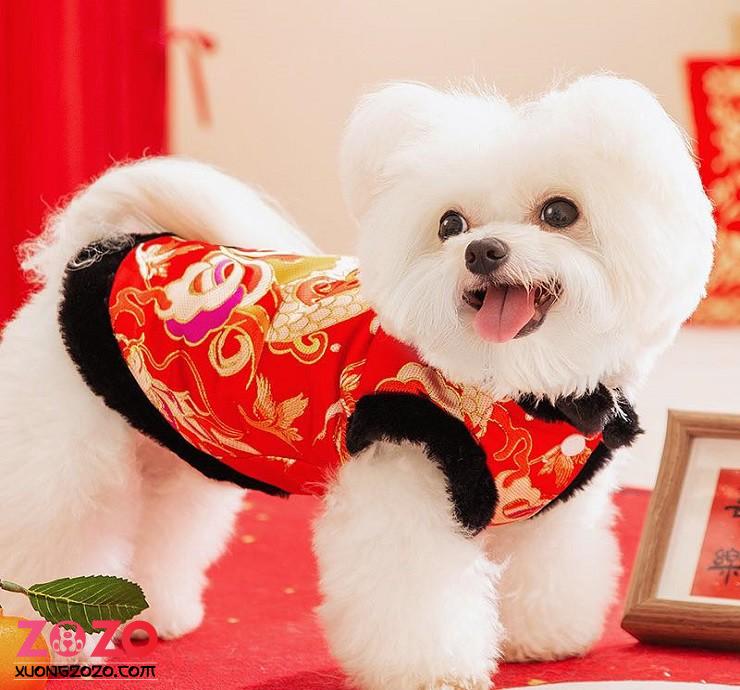 Xưởng sản xuất, in may đồ thú cưng theo yêu cầu 1 xuong san xuat in may do thu cung theo yeu cau eMYE