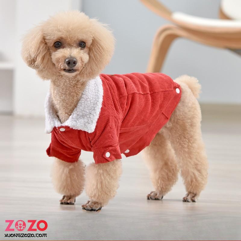 Xưởng may quần áo thú cưng theo yêu cầu 1 xuong may quan ao thu cung theo yeu cau yRRG