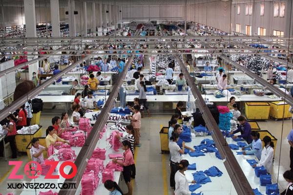 Xưởng may sỉ các mặt hàng quần áo thú cưng 1 xuong may si cac mat hang quan ao thu cung rba0
